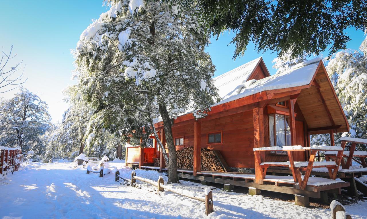 Вилла Llaima Camp Куракаутин Экстерьер фото